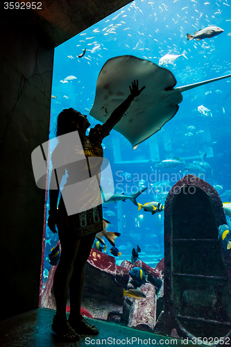 Image of Huge aquarium in a hotel Atlantis in Dubai on the Palm islands