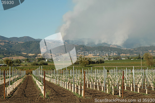 Image of Wine Country wildfires