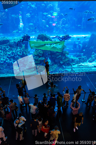 Image of Largest aquarium of the world in Dubai Mall