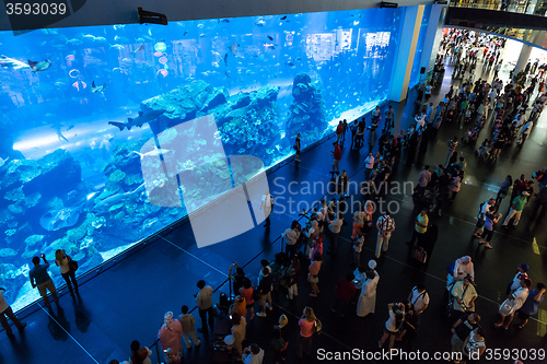 Image of Largest aquarium of the world in Dubai Mall