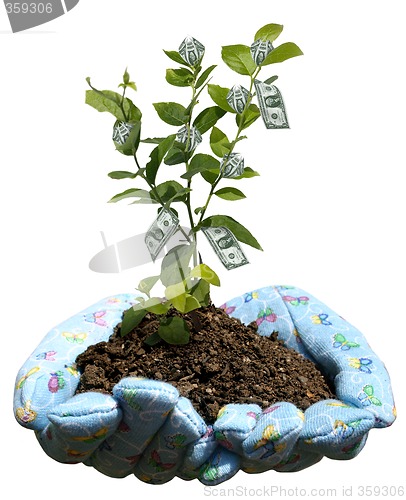 Image of Financial growth