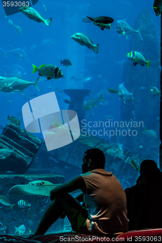 Image of Huge aquarium in a hotel Atlantis in Dubai on the Palm islands