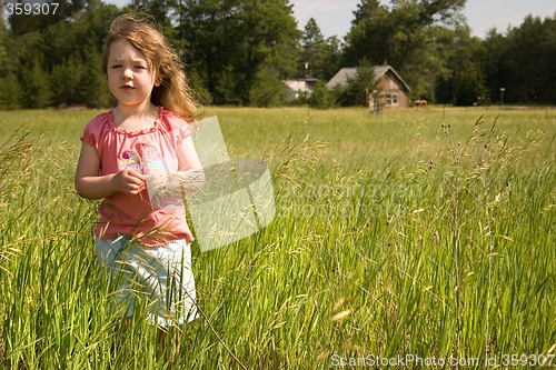 Image of Billowing Grass