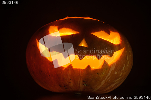 Image of Halloween pumpkin on black