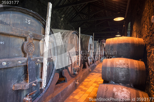 Image of EUROPE PORTUGAL PORTO PORT WINE CELLAR