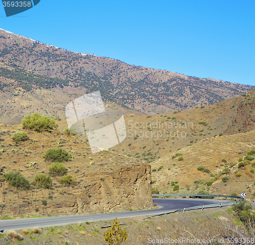 Image of in ground africa morocco the bush  dry atlas mountain