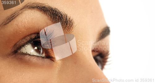 Image of Brown eye