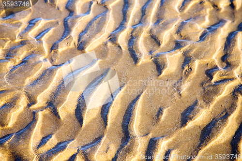 Image of dune morocco   africa brown  sand beach near  