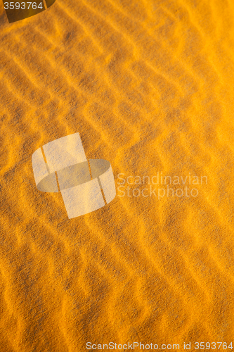 Image of   brown dune in the sahara  desert 