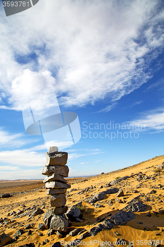 Image of  bush old fossil in  the desert   sahara and rock 