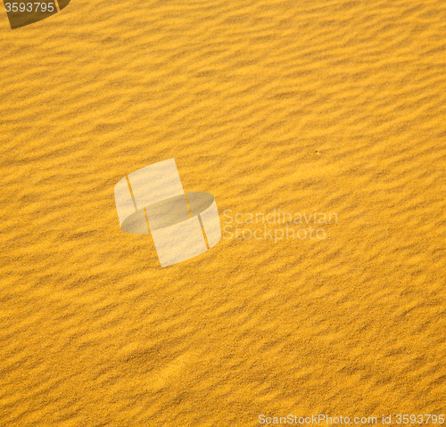 Image of africa the brown sand dune in   sahara morocco desert line