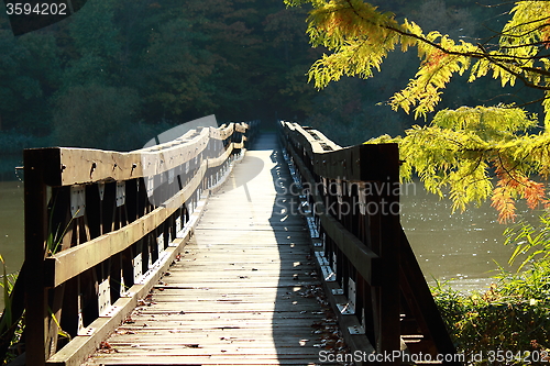 Image of Wooden bridge