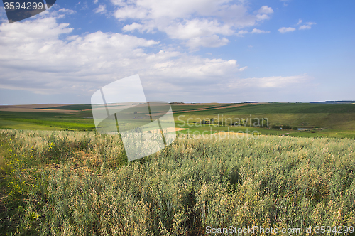 Image of Rural scene
