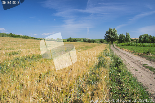 Image of Ground road