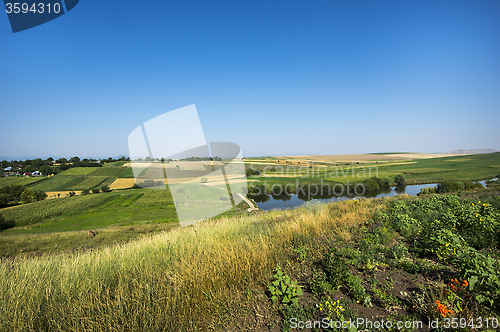 Image of Summer fields