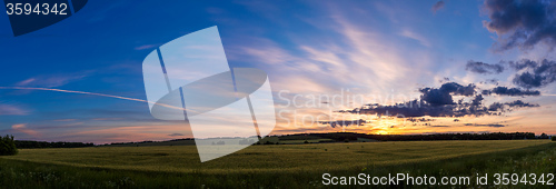 Image of wheat field on sunset