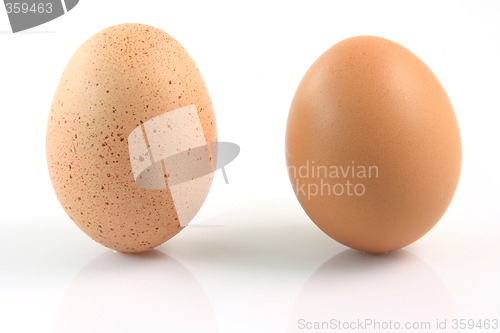 Image of different eggs