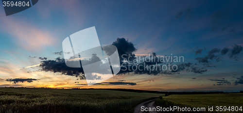 Image of wheat field on sunset