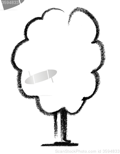 Image of deciduous tree sketch
