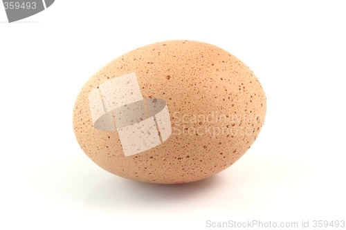 Image of spoted egg