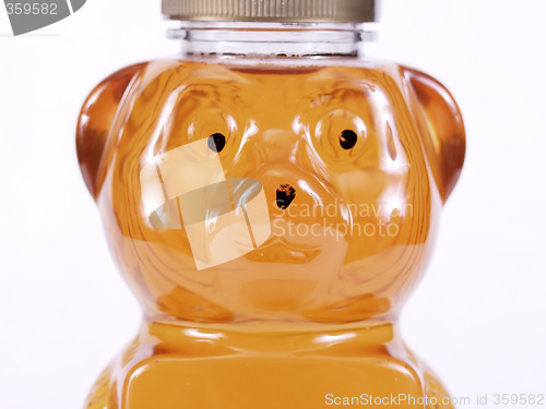Image of Golden Honey Bear Face