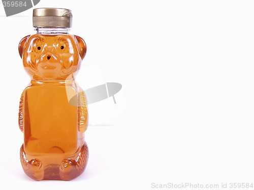 Image of Golden Honey Bear, full, text