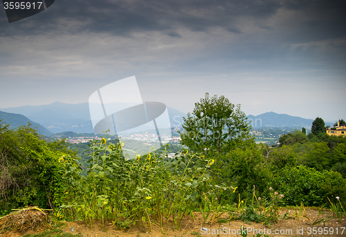 Image of Italy country side