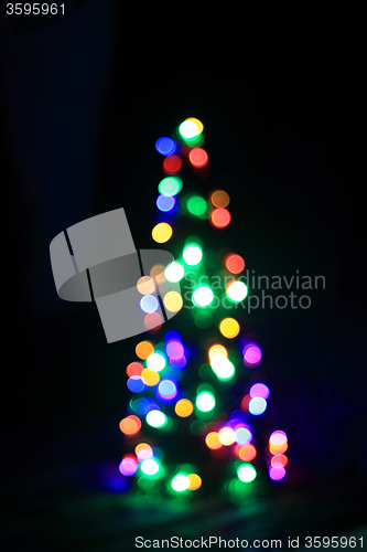 Image of xmas tree