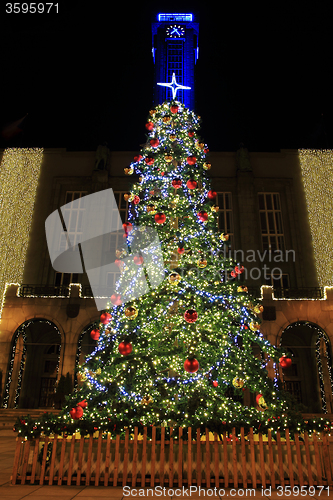 Image of xmas tree