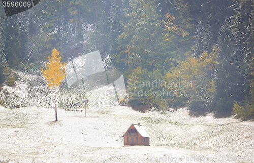 Image of Colorful autumn landscape 