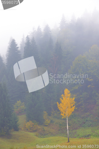 Image of Colorful autumn landscape 