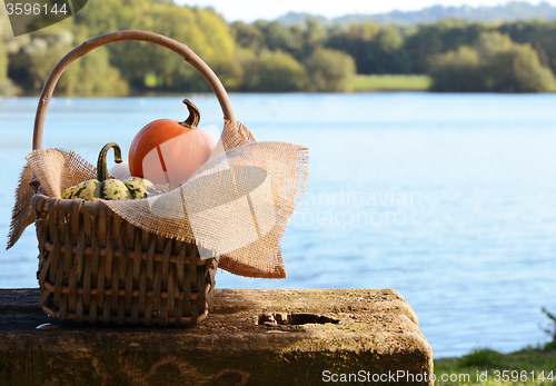 Image of Basket filled with small pumpkins by a pond