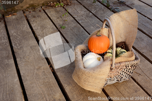 Image of Pumpkins in a hessian-lined basket 