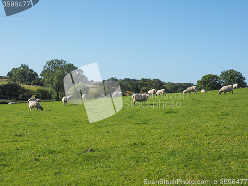 Image of View of Tanworth in Arden