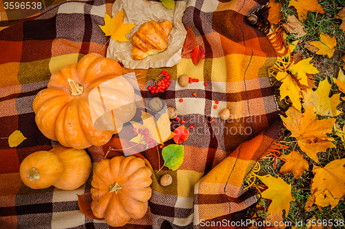 Image of Romantic autumn still life