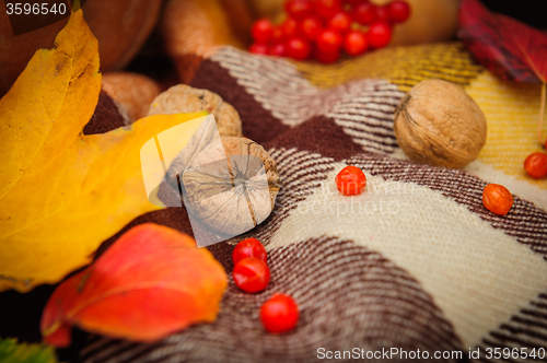 Image of Romantic autumn still life