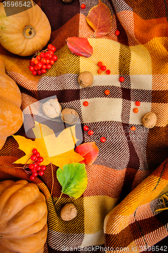 Image of Romantic autumn still life