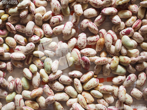Image of Crimson beans vegetables background
