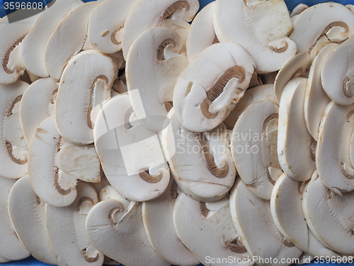 Image of Champignon mushrooms background