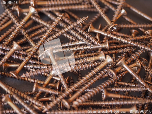 Image of Wood screw