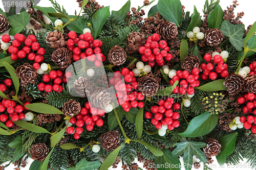 Image of Christmas and Winter Flora