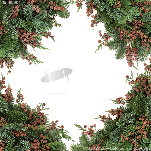 Image of Winter Flora Border