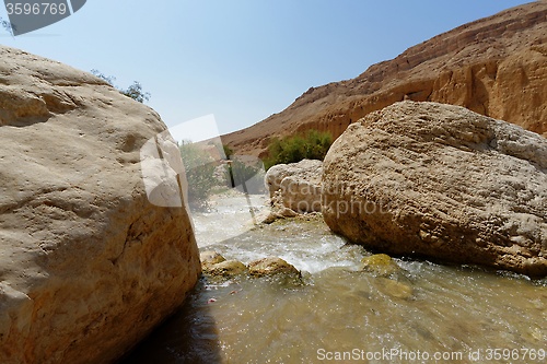 Image of Wadi bin Hammad creek in desert in Jordan