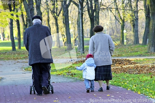 Image of Autumn walk