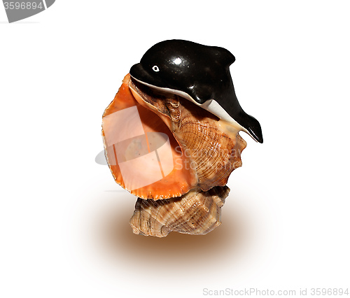 Image of figure seashell