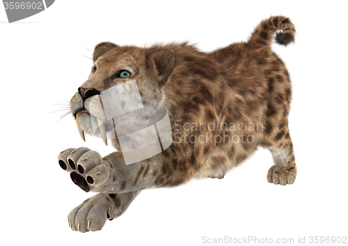 Image of Big Cat Sabertooth