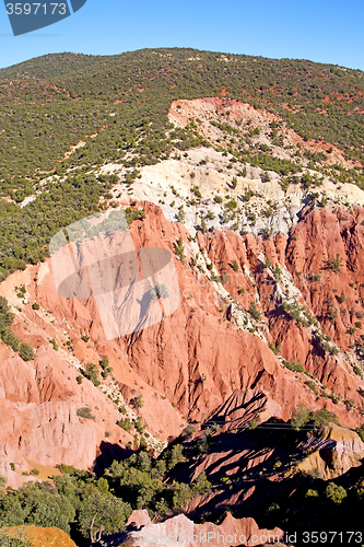 Image of the    dades valley in atlas moroco africa ground tree  and nobo