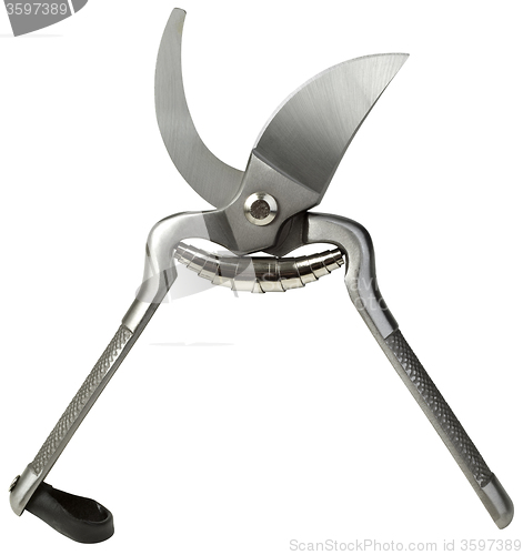 Image of Pruning Clippers Cutout