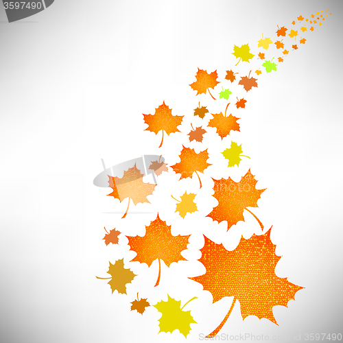 Image of Falling Autumn Leaves