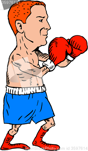 Image of Boxer Fighting Stance Cartoon